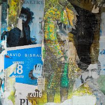 120-DSCN3637