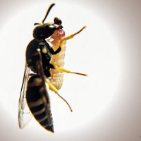 057-_DSC1508