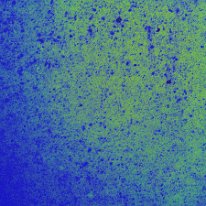 172-20250215_0169